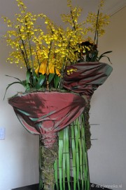 DSC_0289 Orchiade