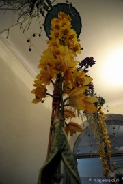 DSC_0371 Orchiade