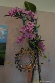 DSC_0373 Orchiade