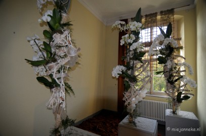 DSC_0392 Orchiade
