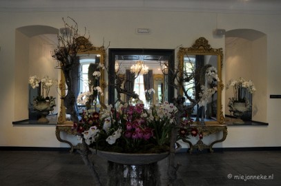 DSC_0558 Orchiade