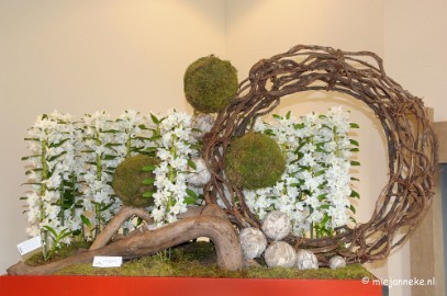 DSC_0616 Orchiade