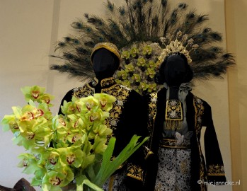 DSC_0653 Orchiade