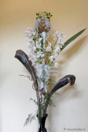 DSC_0682 Orchiade