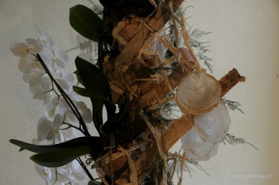 DSC_0715 Orchiade