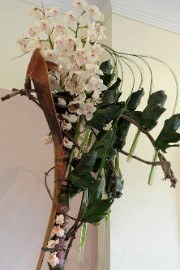 DSC_0719 Orchiade