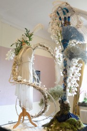DSC_0736 Orchiade