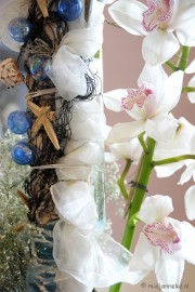 DSC_0737 Orchiade