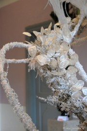 DSC_0752 Orchiade
