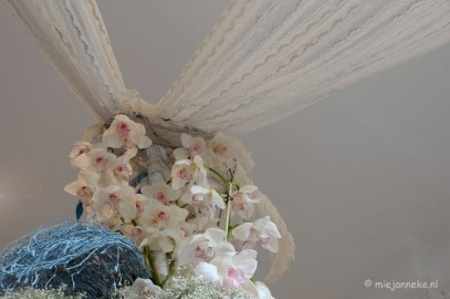 DSC_0753 Orchiade