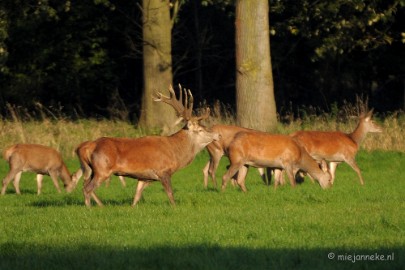 DSC_9613 Nog eens controleren