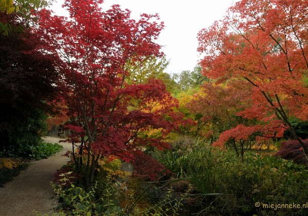 Herfst in Arcen Oktober