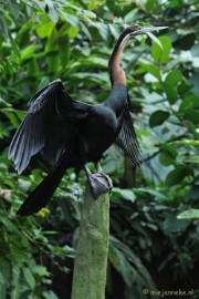 DSC_8937 Burgers zoo