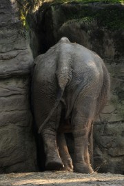 DSC_8996 Burgers zoo
