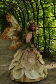 DSC_7284 Arcen 2010