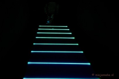 DSC_2173 Glow 2011
