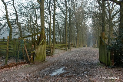 DSC_7843 mysterious walk