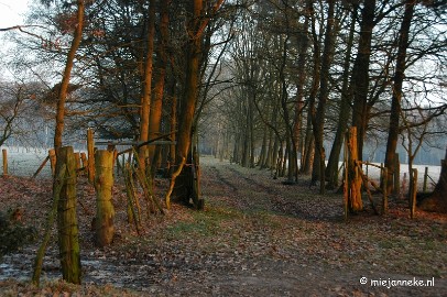 DSC_7850 mysterious walk