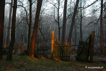 DSC_7870 mysterious walk