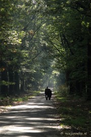 DSC_0574 Natuur op de Veluwe