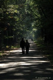 DSC_0586 Natuur op de Veluwe