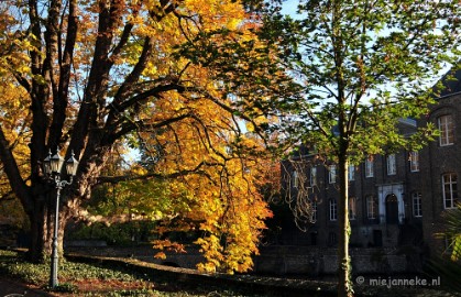 DSC_4558 Herfstkleuren in Arcen