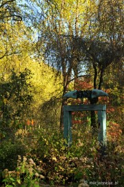 DSC_4750 Herfstkleuren in Arcen