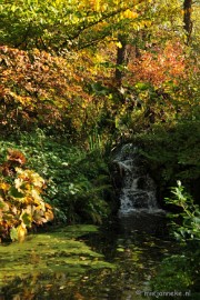 DSC_4757 Herfstkleuren in Arcen