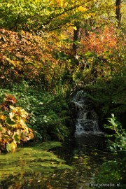 DSC_4757 Herfstkleuren in Arcen