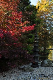 DSC_4830 Herfstkleuren in Arcen