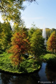 DSC_4857 Herfstkleuren in Arcen