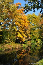 DSC_4870 Herfstkleuren in Arcen