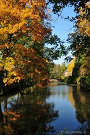 DSC_4878 Herfstkleuren in Arcen