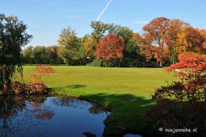 DSC_4907 Herfstkleuren in Arcen