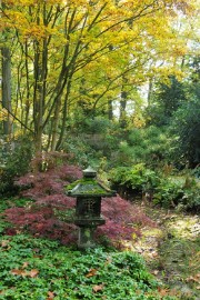 DSC_4925 Herfstkleuren in Arcen