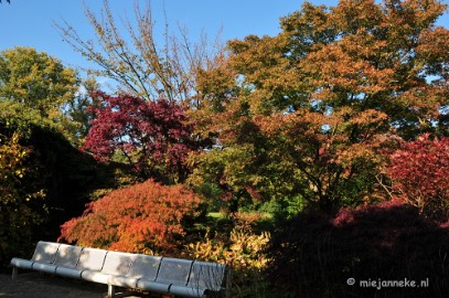 DSC_4968 Herfstkleuren in Arcen