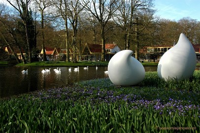 DSC_2086 Keukenhof 2011