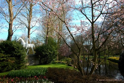 DSC_2104 Keukenhof 2011