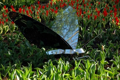 DSC_2159 Keukenhof 2011