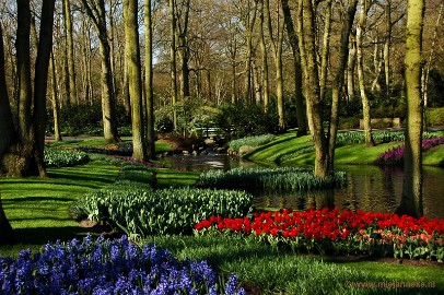 DSC_2186 Keukenhof 2011