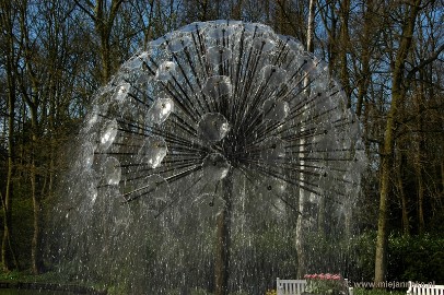 DSC_2217 Keukenhof 2011