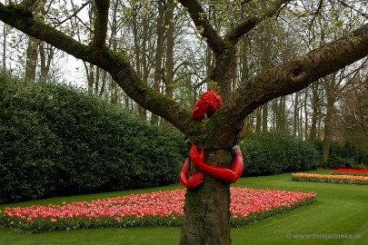 DSC_2423 Keukenhof 2011