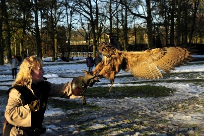 _DSC3520 Zon, sneeuw en vogels