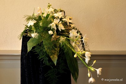_DSC3454 Arcen in het nieuwe jaar