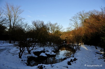 _DSC3605 Arcen in het nieuwe jaar