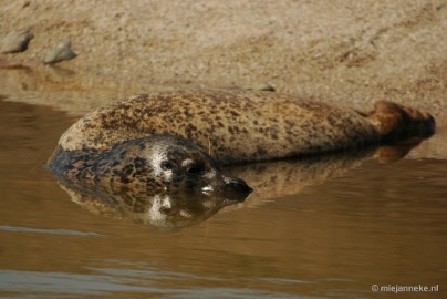 DSC_4157 Overloon zoo parc 2011