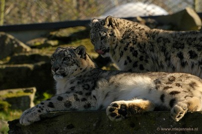 DSC_0842a Plankendael 2011