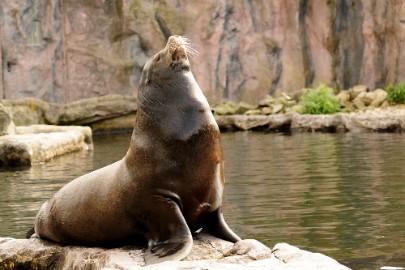 _DSC1718 Erlebnis Welt Zoo Duitsland