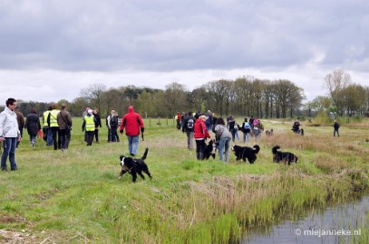 28 m Berner Sennen Meeting Limburg