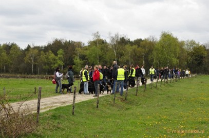 41 m Berner Sennen Meeting Limburg